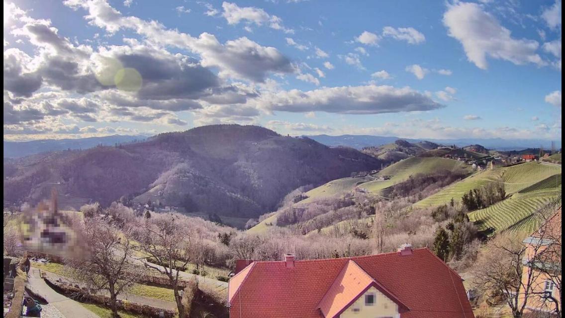 Wohlmuth-Lueckl Hotel Kitzeck im Sausal Buitenkant foto