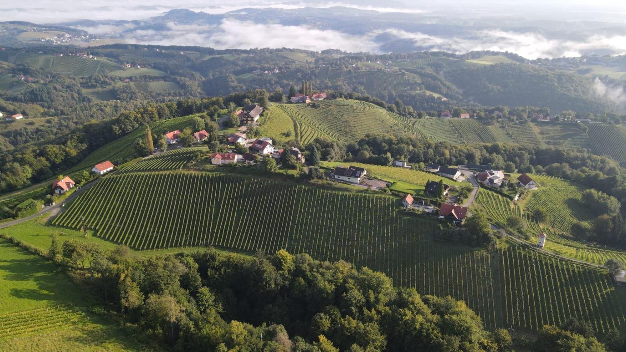Wohlmuth-Lueckl Hotel Kitzeck im Sausal Buitenkant foto