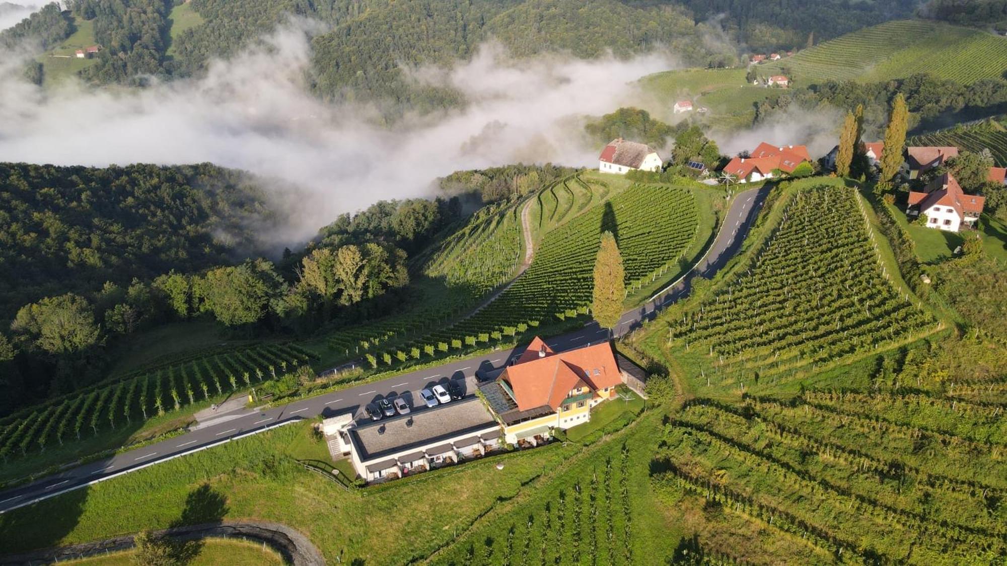 Wohlmuth-Lueckl Hotel Kitzeck im Sausal Buitenkant foto
